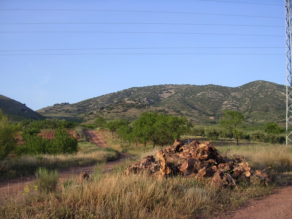 Hacia la Sierra de Morata by Pascual Asensio Sánc…