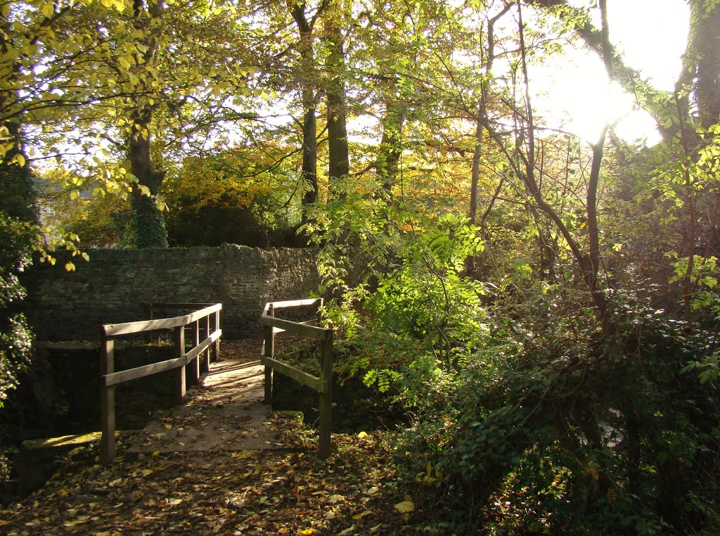 Low autumn sun through trees and wooden bridge over Totley Brook, Sheffield S17 by sixxsix