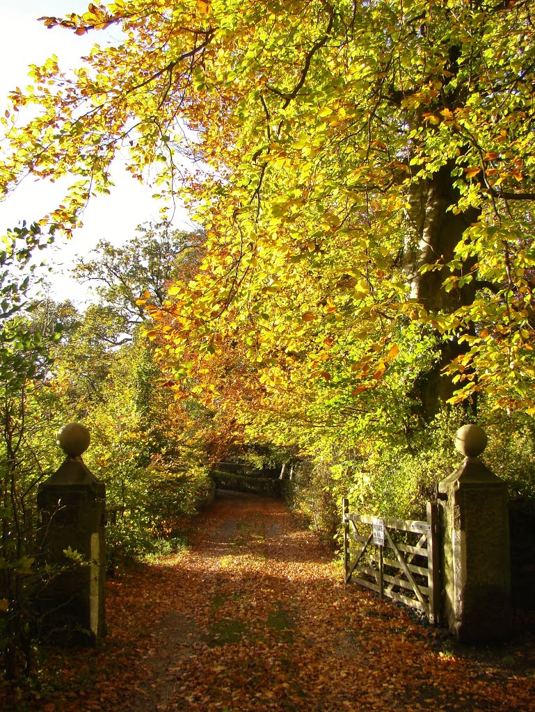 Autumnal entrance to Totley Grove grounds, Totley Brook, Sheffield S17 by sixxsix