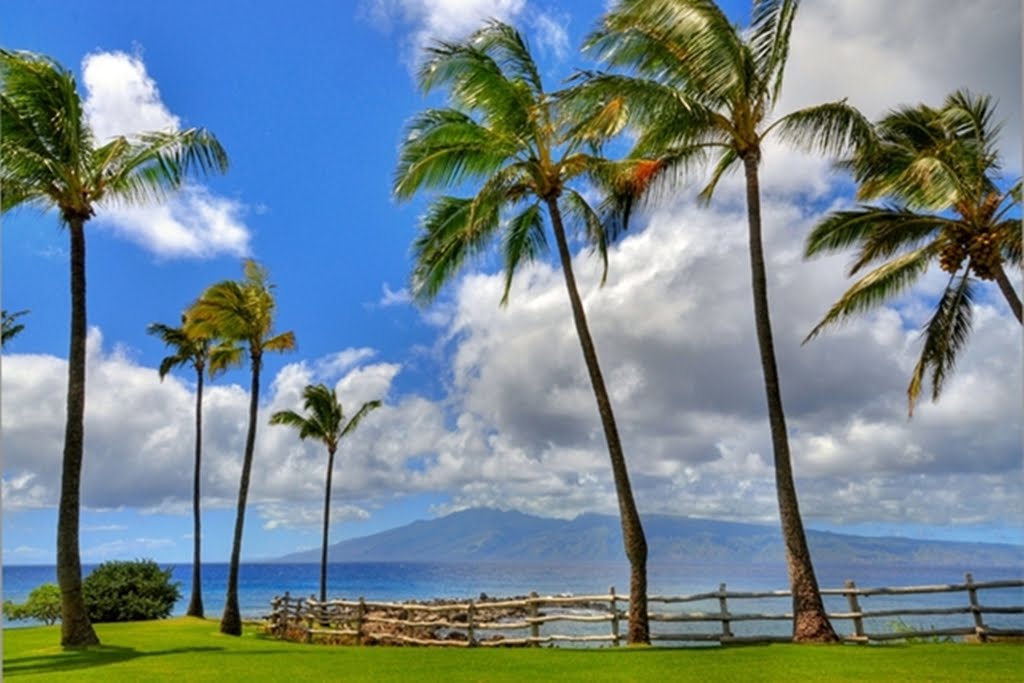 Kapalua Maui by SLDdigital