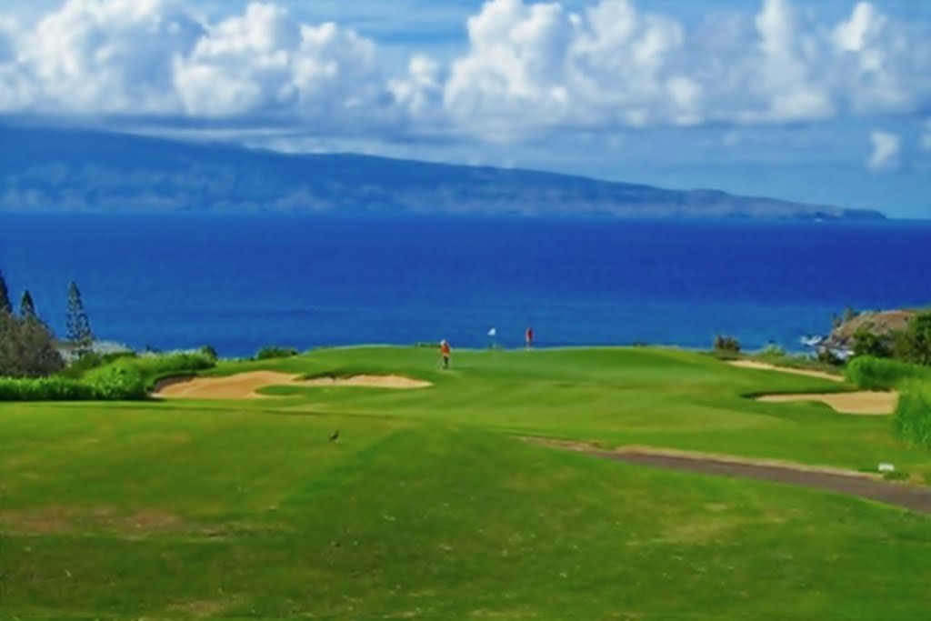 Kapalua Maui by SLDdigital