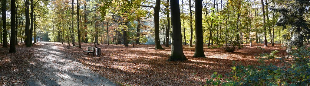 Wandelbos Tilburg by averho