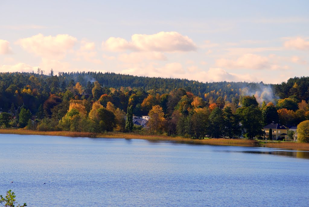 Autumn colors in Alingsås by Despina Mousafiri