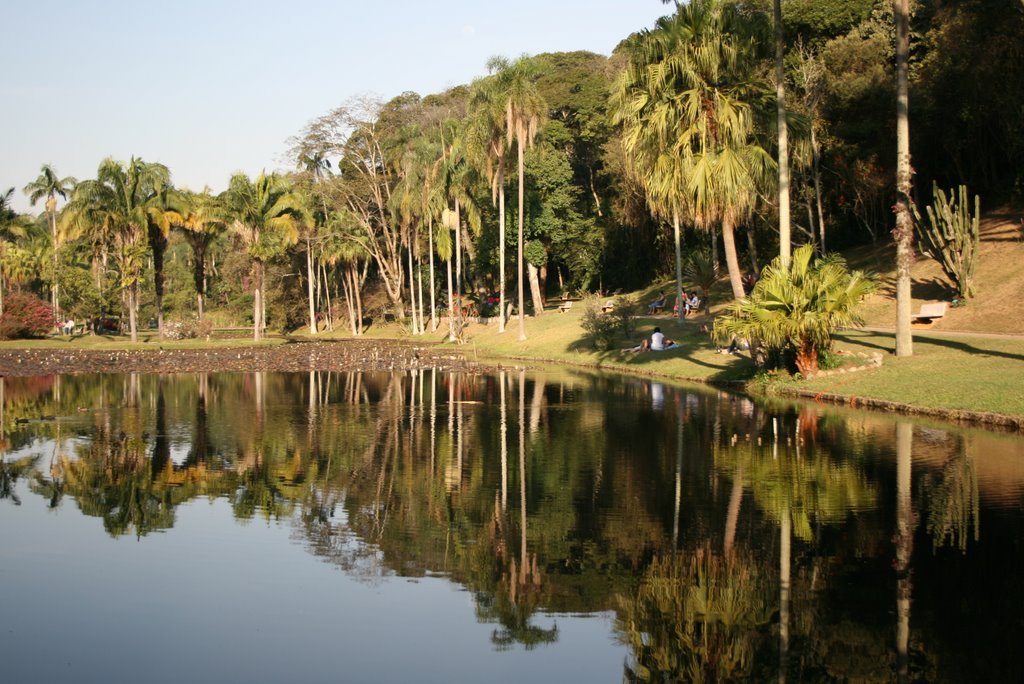 Lago das Ninféias - Jardim Botânico - SP by Luís Roberto da Silv…