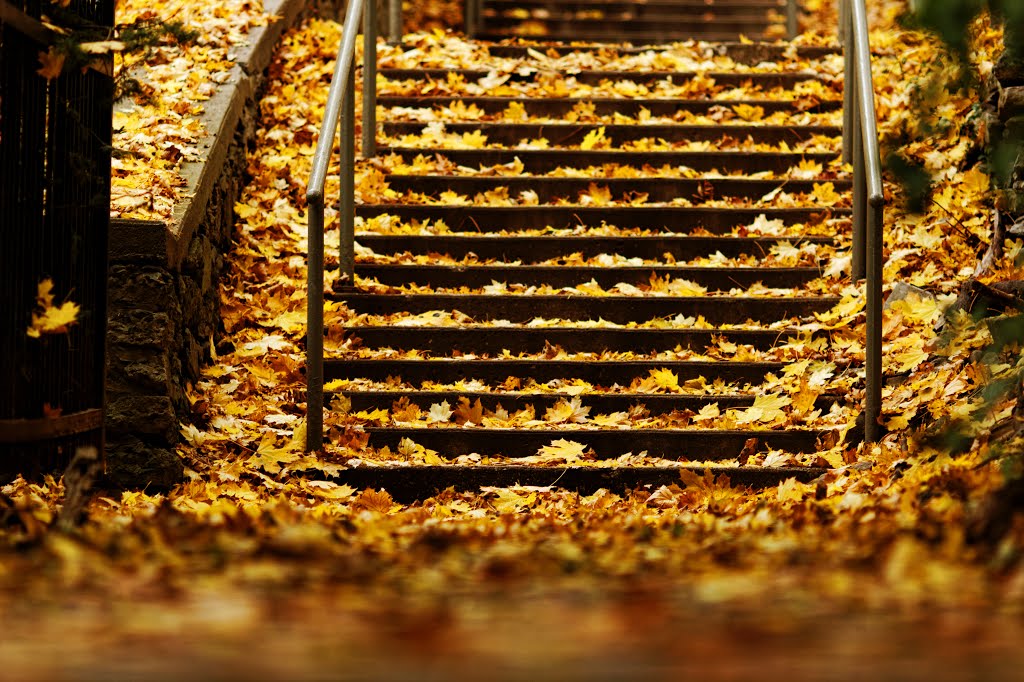 Aberdeen stairs, Wesmount by intrio