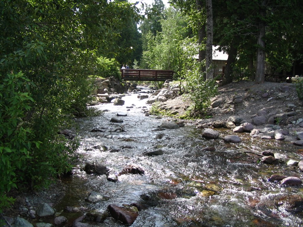 Stream Feading Into Lake McDonald by David Eck