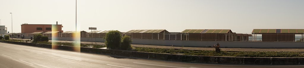 Lido de Ostia by Icebear