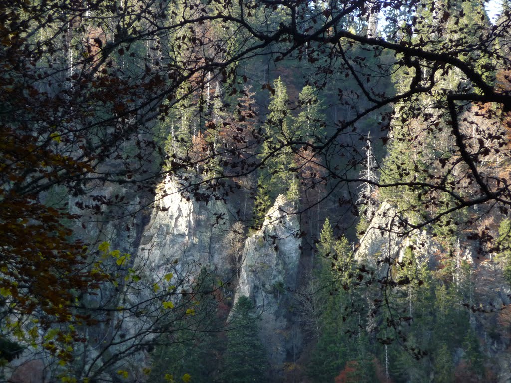 Felsspitzen oberhalb des Feldsees by bienenritter