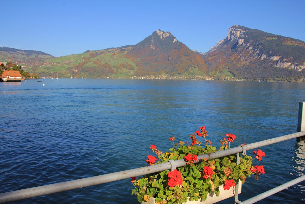 Faulensee - vista del Niederhorn e del Rothorn by alfonso minoli