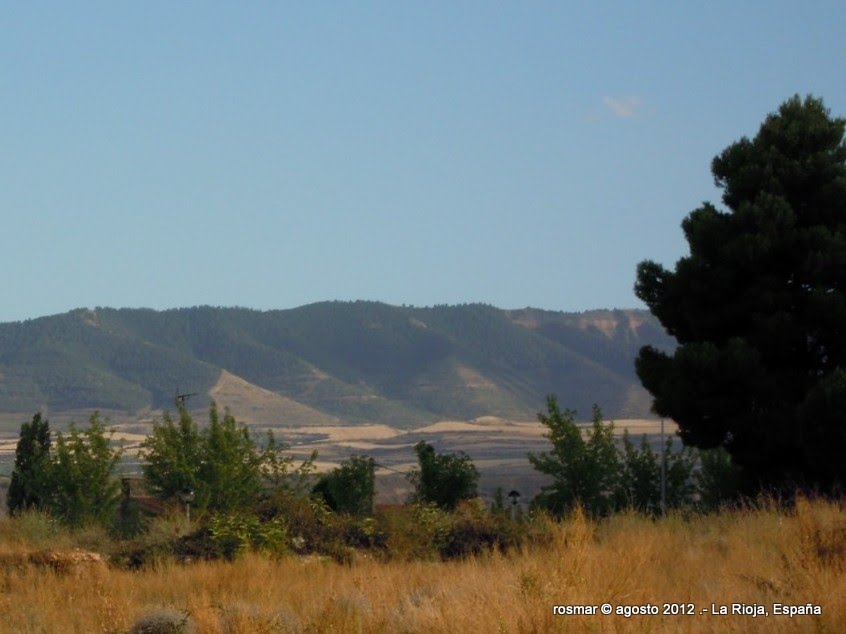 Montes de Nalda by Rosa  M. Olivan M.(-rosmar- )