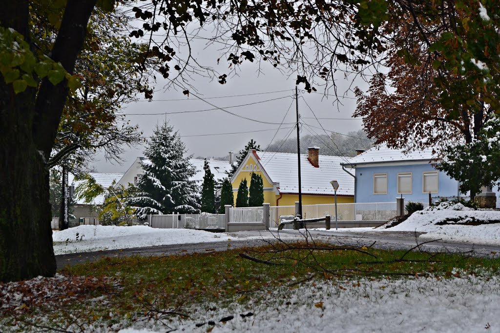 Az első hó..The first snoww in Hungary in Nyúl.. by Kaszás Gyula