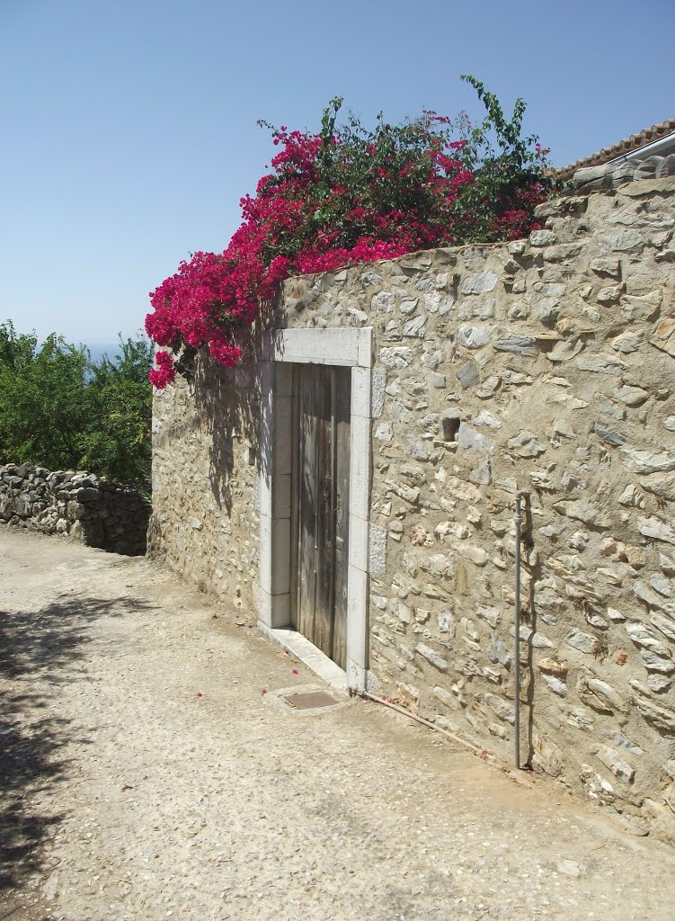 Passing through the Village of Lagkada, Peloponnesos, Greece by George Coppens