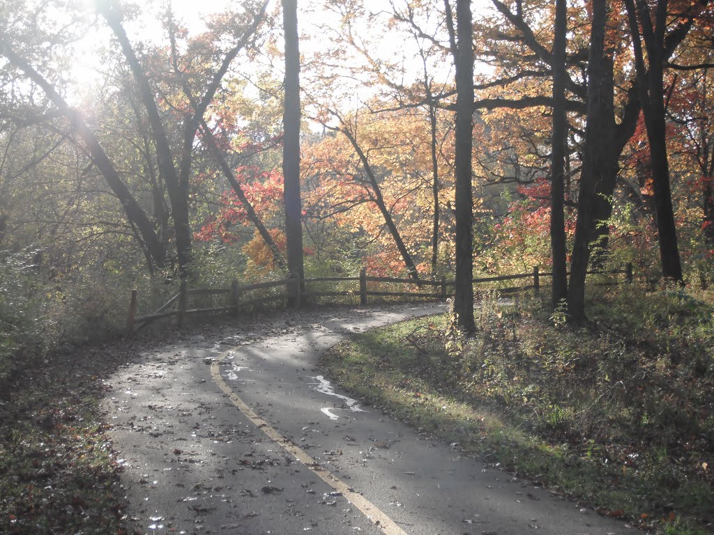 Fall at la grange ill by felipe sotelo