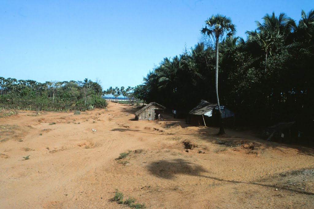 Auroville Beach - India - 1983 by Ole Holbech