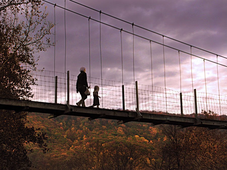 Deer Rapids Swinging Footbridge by Karen Raley