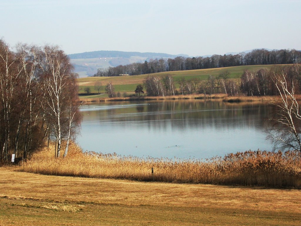 Der Gerzensee im Februar by Martin Mutti