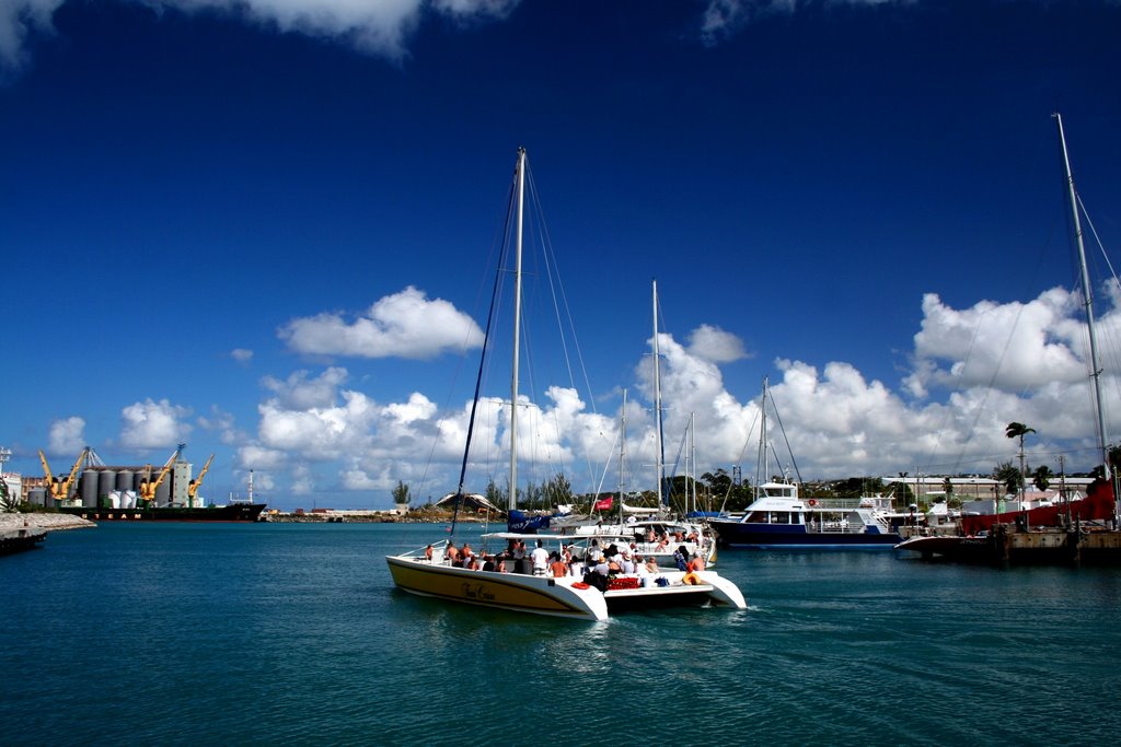 Boat Trip by Terry Andrews