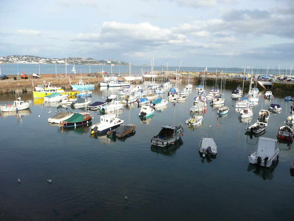 Paignton Harbour by Tony Carter