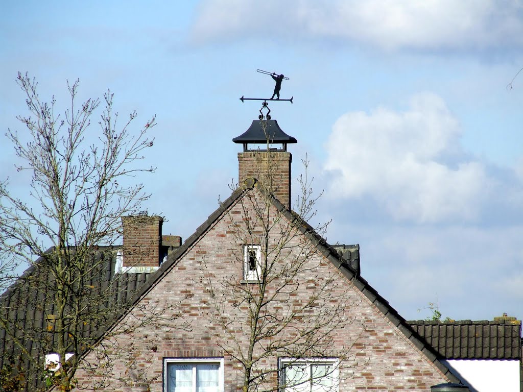 Trombonist on the roof by voytheck1