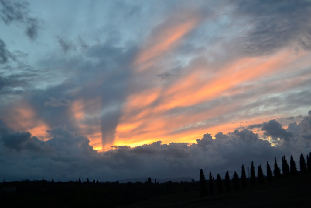 Toscana by anna guadagnini