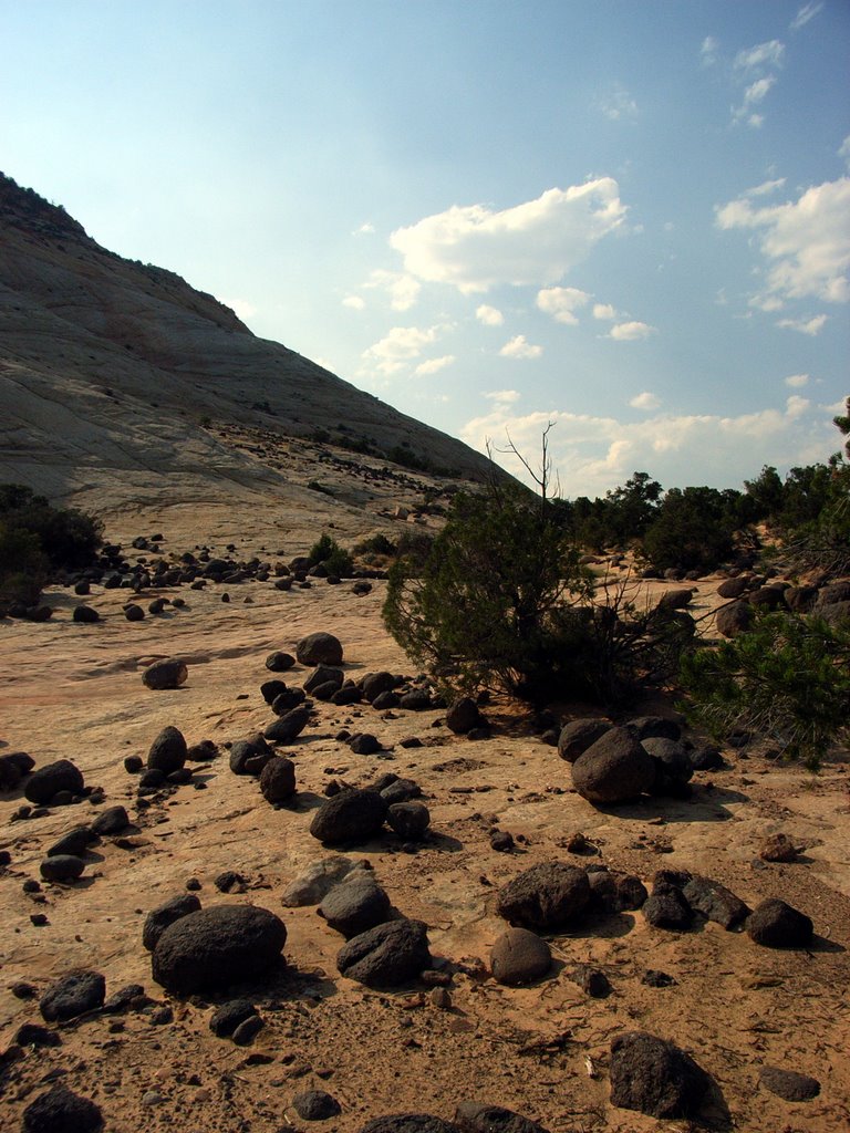 Boulder, UT, Burr Trail by Haselberger