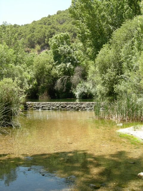 Rio del Burgo, El Burgo by Pat Maguire