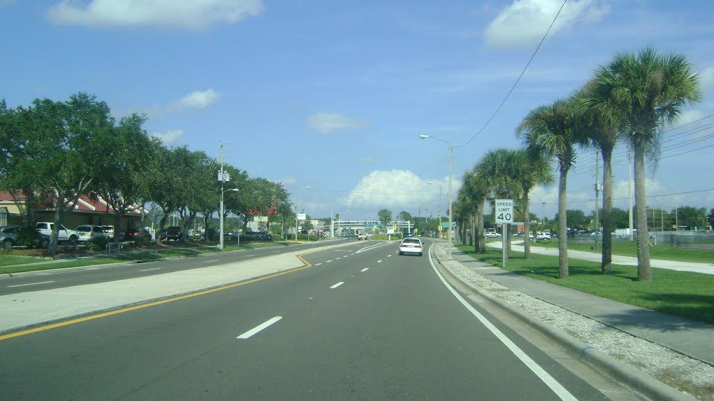 Tom Stuart Causeway by Arturo Sottolichio