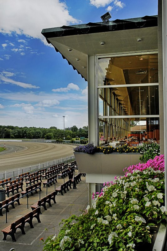 Harness Track View by CDFPhotography