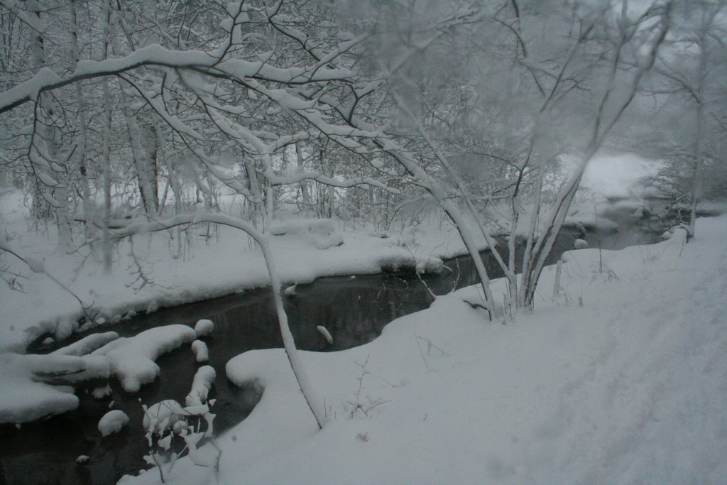 Behind the Rocky River Nature Center by sibylkress