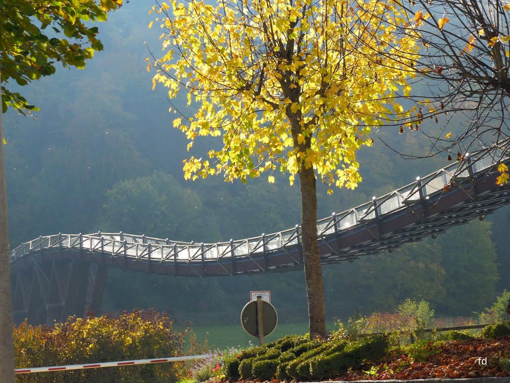 Essing die längste Holzbrücke Europas by Friedhelm Dröge