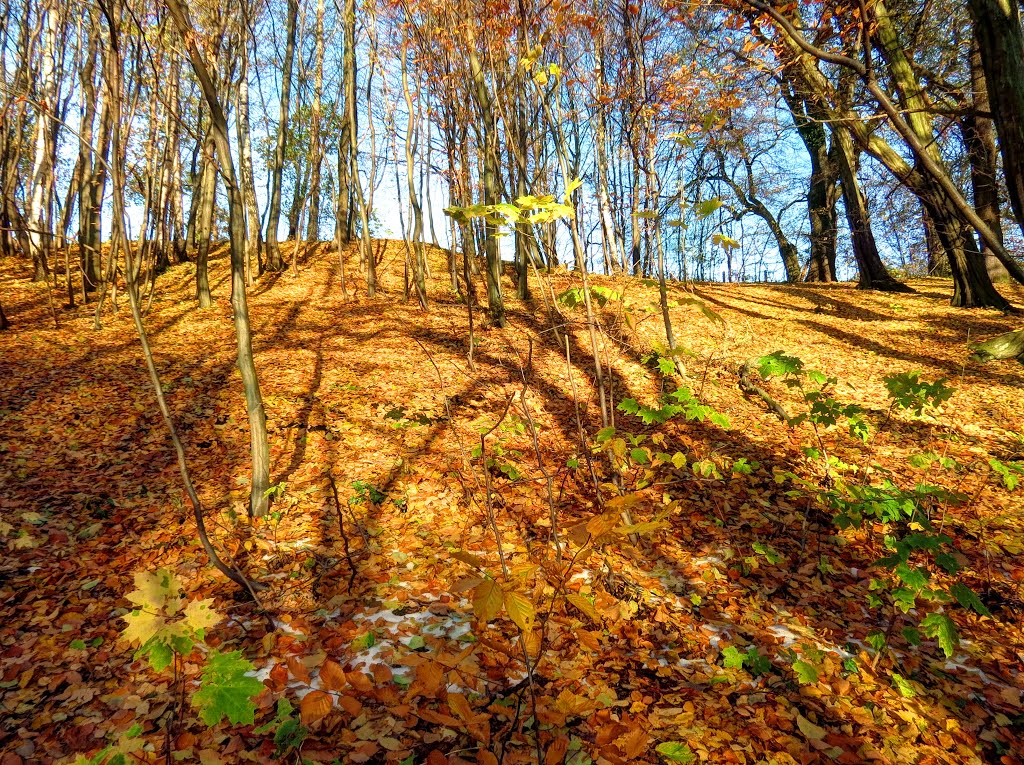 Chemnitz - Goldener Hoppberg by Rudolf Henkel