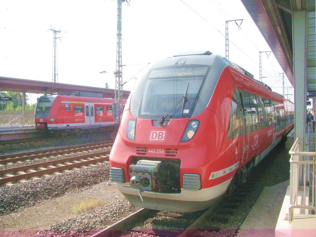 BR 442 und S-Bahn by ©schw@bendude