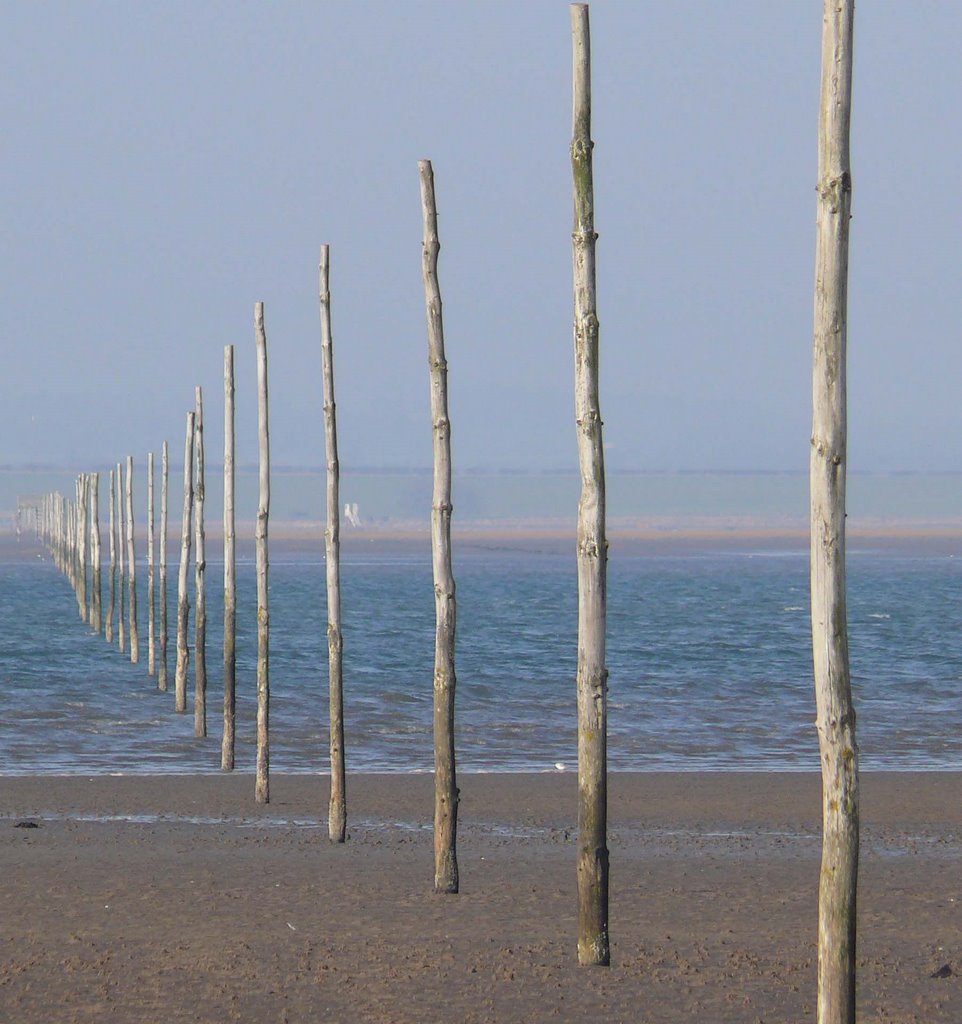 Causeway to Lindisfarne by David Rooney