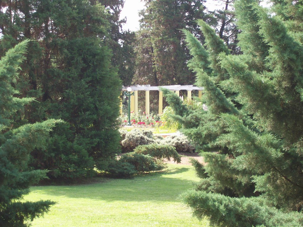 Parque Sarmiento (Rosedal) by Ricardo Ciotti