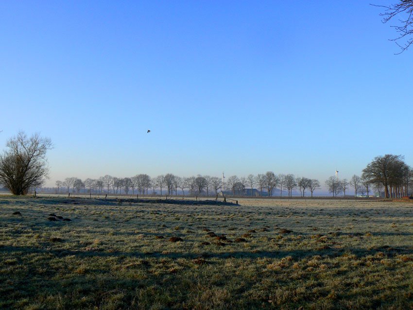 Bright winter morning (Eefde) by Tjarko Evenboer