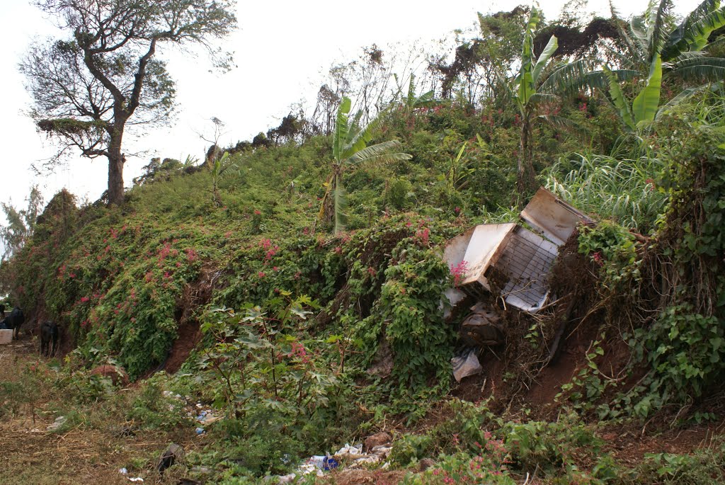 Mayotte_Petite-Terre_Labattoir_6 by philippe mathieu