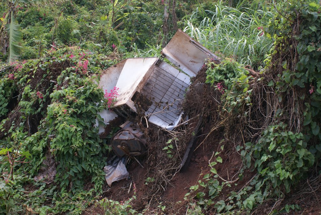 Mayotte_Petite-Terre_Labattoir_7 by philippe mathieu