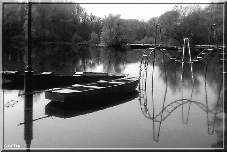 2005 Tisza tavaszi áradása by Héda Károly *Earl*