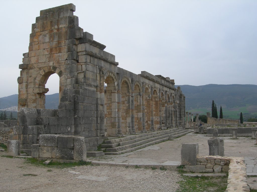 Volubilisko ruina erromatarrak by oyar