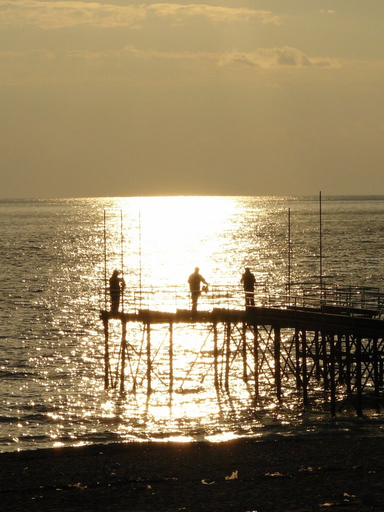 The fish-waiters in the evening... by tumblr.tk