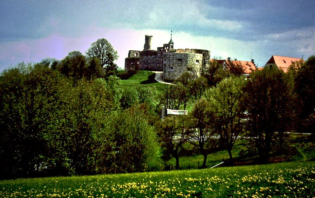 Heidenheim Schloß D1991-07-00_003_M215 © http://www.fahidi.eu by Béla Fahidi