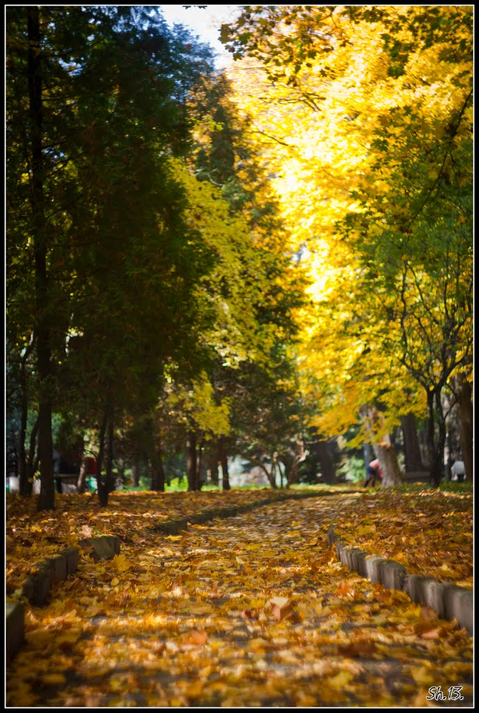 Autumn walking... by shuher13