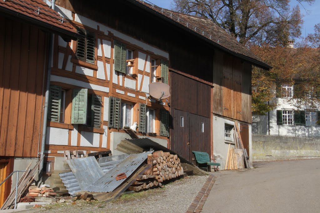 Noch nicht genug Holz für den Winter? by rudolf dubs