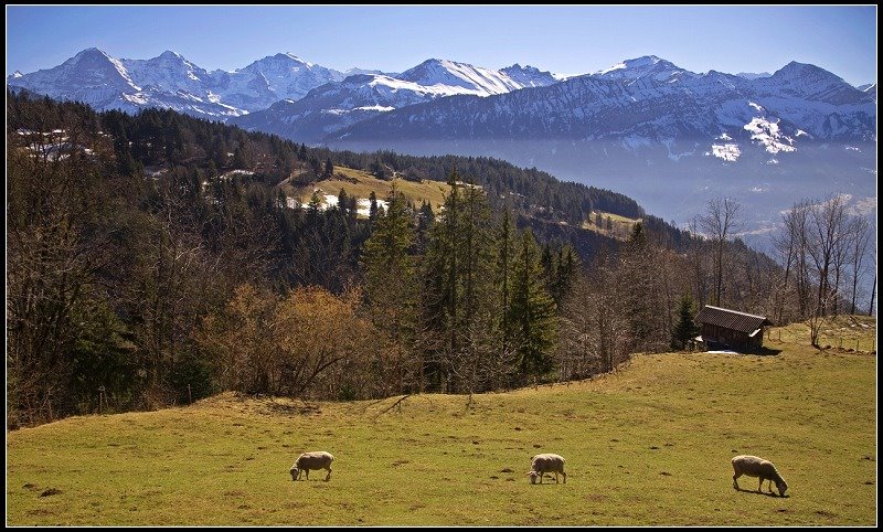 Unterseen, Switzerland by 尼尔伯甲