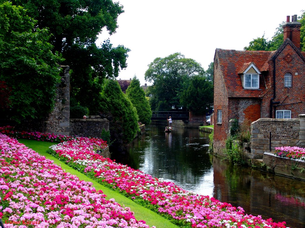 Canterbury (UK) by Gábor Kurucz