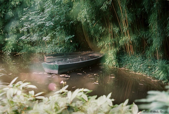 At Claude Monet Water Garden by dubiroman