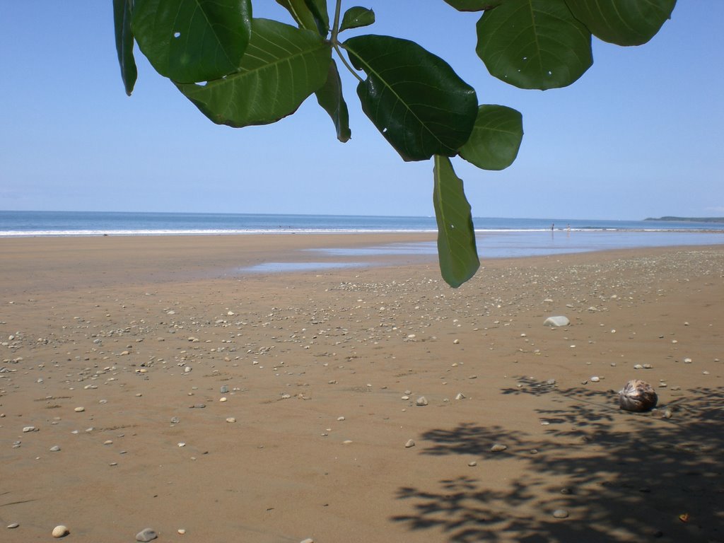 Parque Nacional Marino Ballena by Eleonora Ortiz