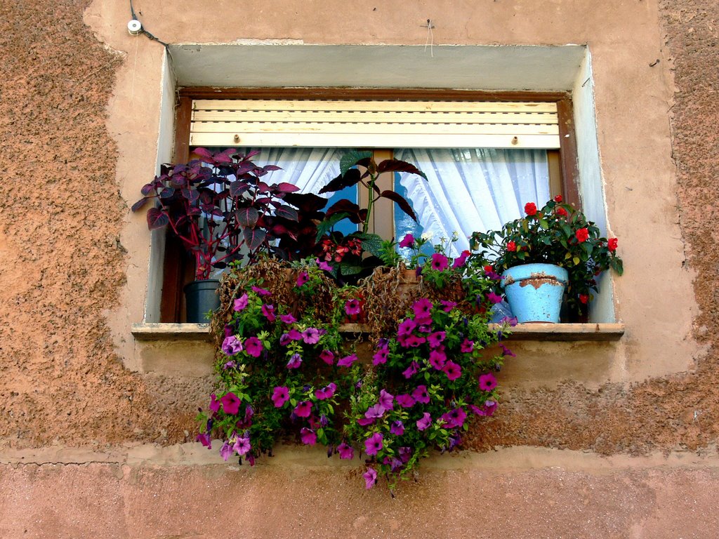 HORMILLEJA (Valle del Tuerto). La Rioja. 2007. 03. Ventana. by Carlos Sieiro del Nido