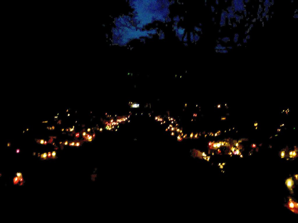 Kraków, The Rakowicki Cemetery - November 1, 2012 the All Saints Day, a glowing avenue to eternity by wuhazet