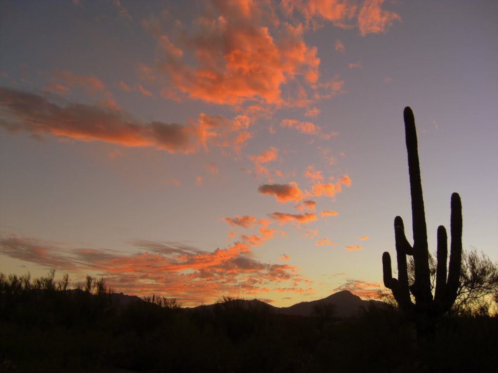 Sunset, near Tucson, AZ, nov 11, 2007. by Tom Dudones